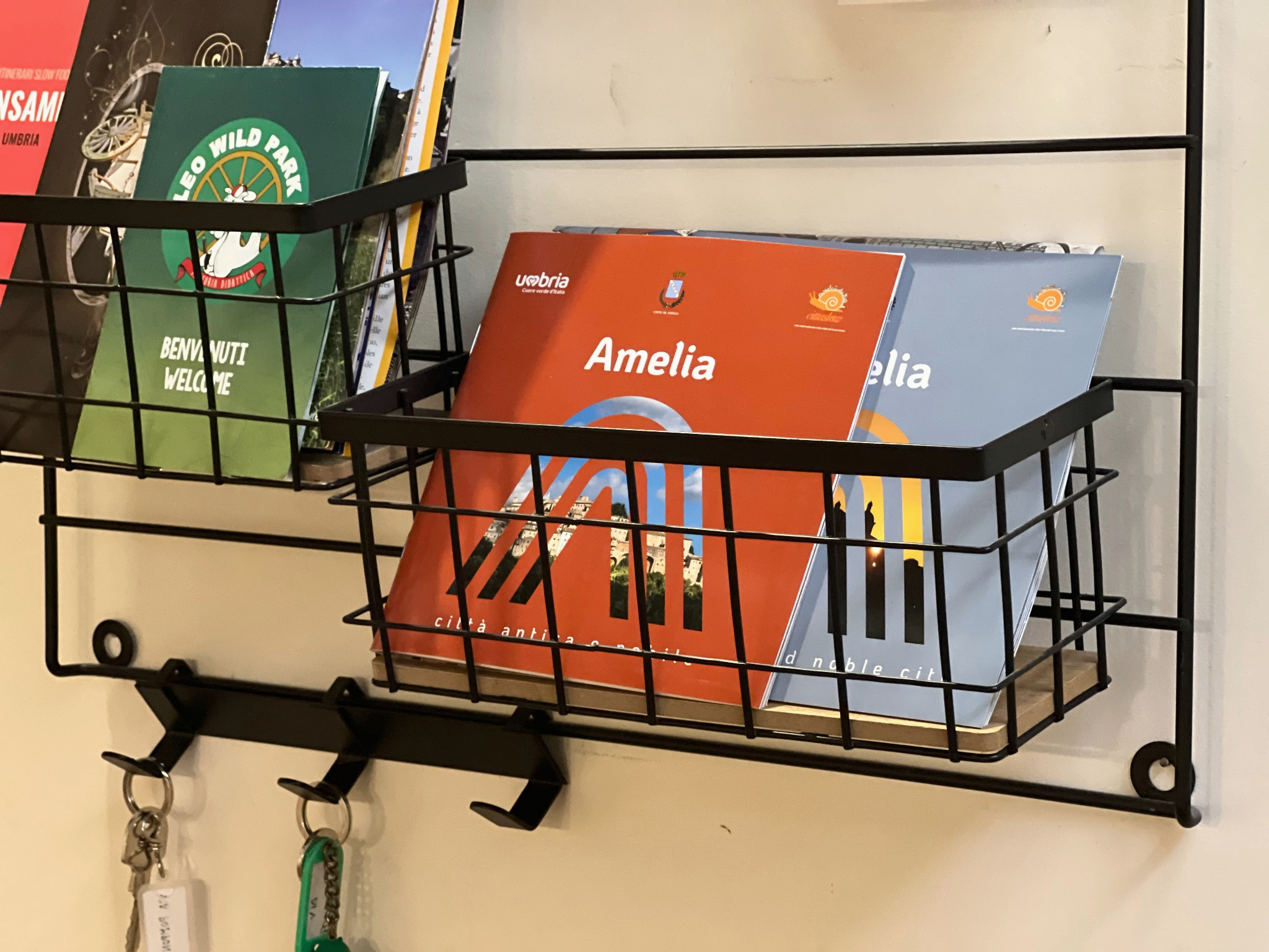 Informazioni su Amelia · La Casa di Oli